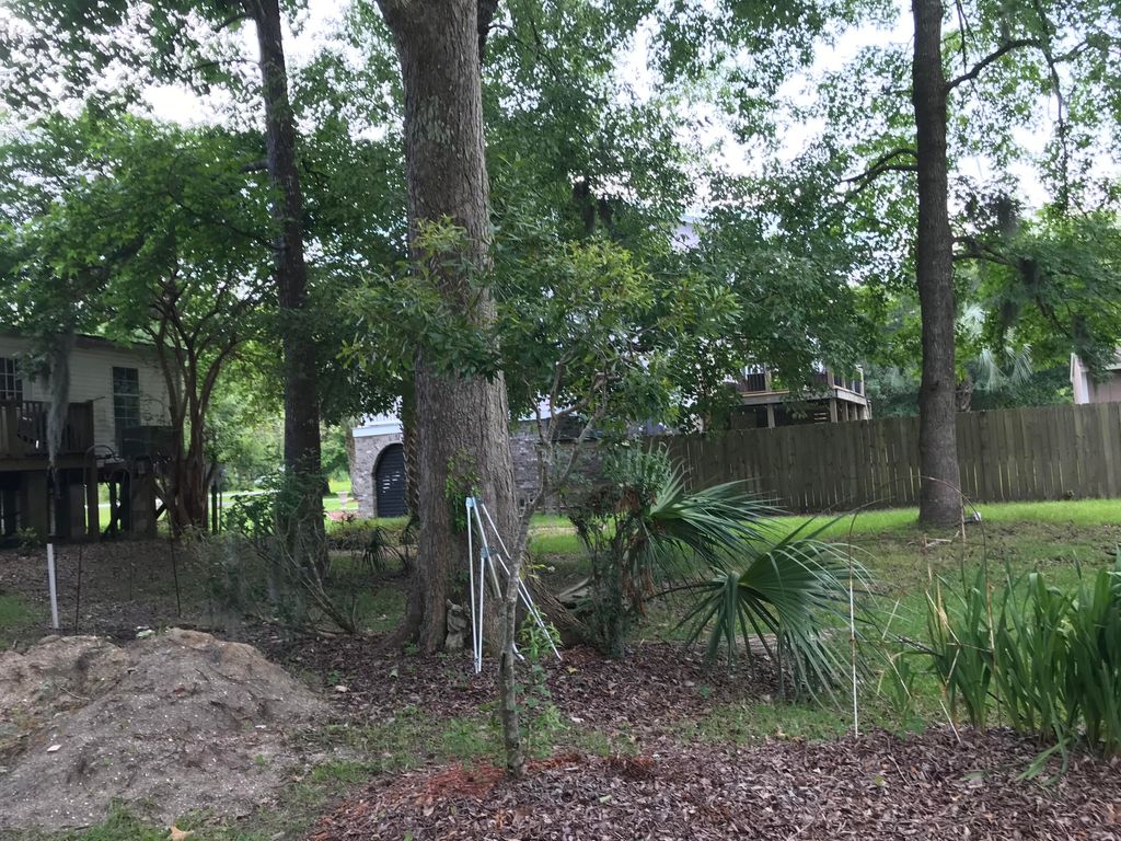 Photo of 1315 Lieben Road, Mount Pleasant, SC 29466 (MLS # 25029504)