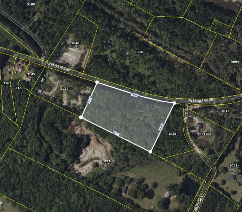 Photo of 3047 Fickling Hill Road Rd, Johns Island, SC 29455 (MLS # 25010004)