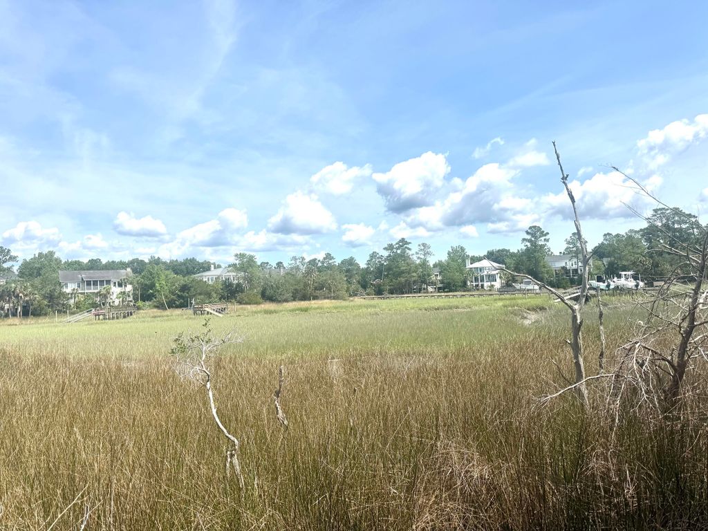 Photo of 3614 Coastal Crab Road, Mount Pleasant, SC 29466 (MLS # 26018691)