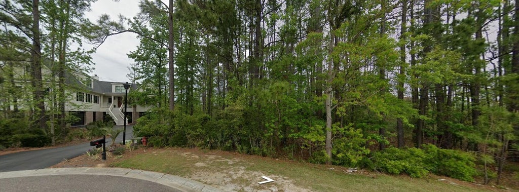 Photo of 3614 Coastal Crab Road, Mount Pleasant, SC 29466 (MLS # 26018691)