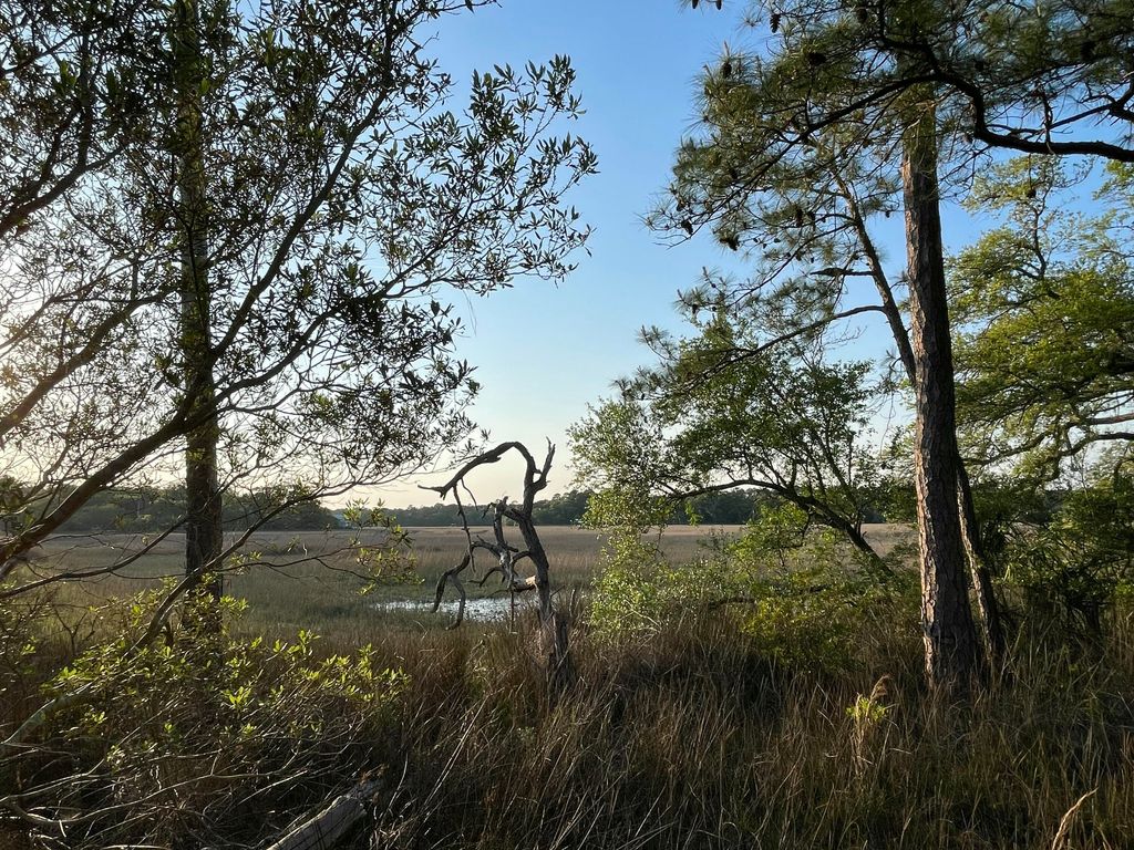 Photo of 8468 Chisolm Plantation Road, Edisto Island, SC 29438 (MLS # 26011720)