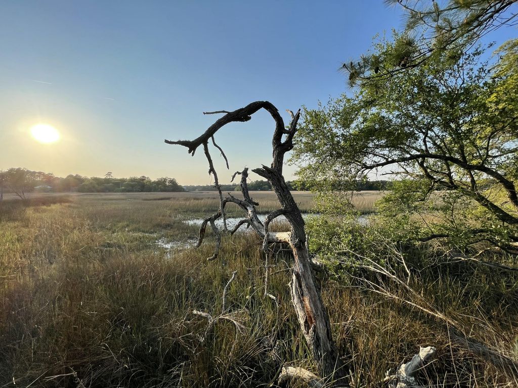 Photo of 8468 Chisolm Plantation Road, Edisto Island, SC 29438 (MLS # 26011720)
