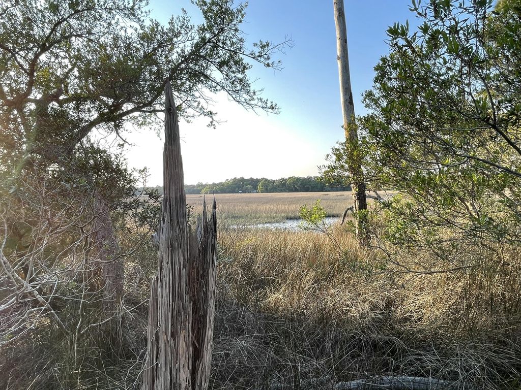 Photo of 8468 Chisolm Plantation Road, Edisto Island, SC 29438 (MLS # 26011720)