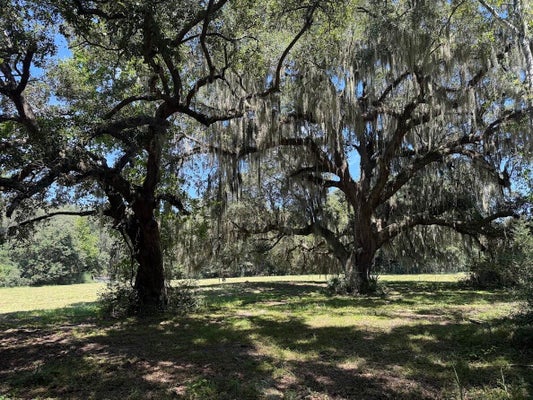 7817 LITTLE BRITTON RD LOT A-1, MEGGETT, SC 29449 - Image 4e6588fb335d28cf3f5378958201a5a2/2401000028