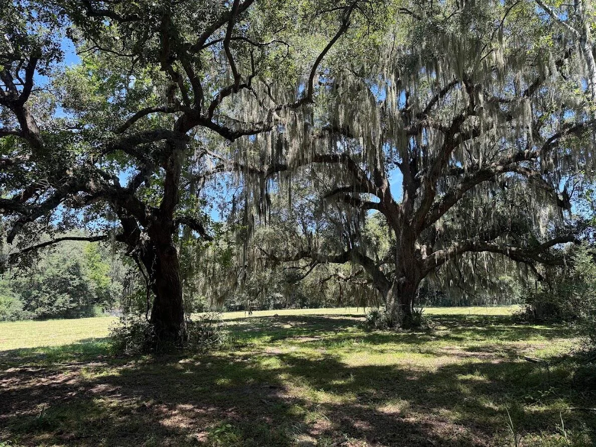7817 Little Britton Road (lot A-1) Rd, Meggett, SC, 29449