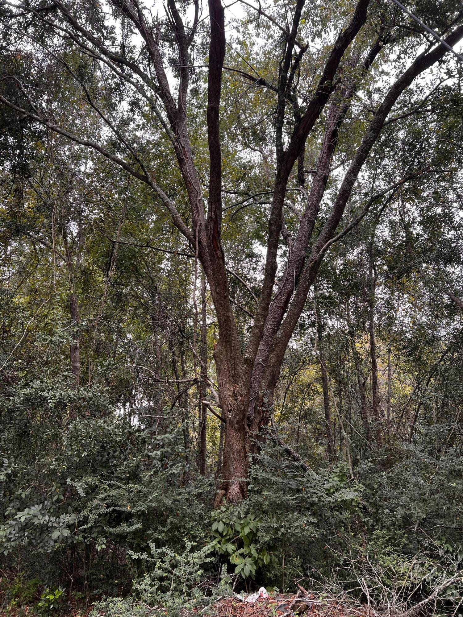 2560 Cherry Point Road