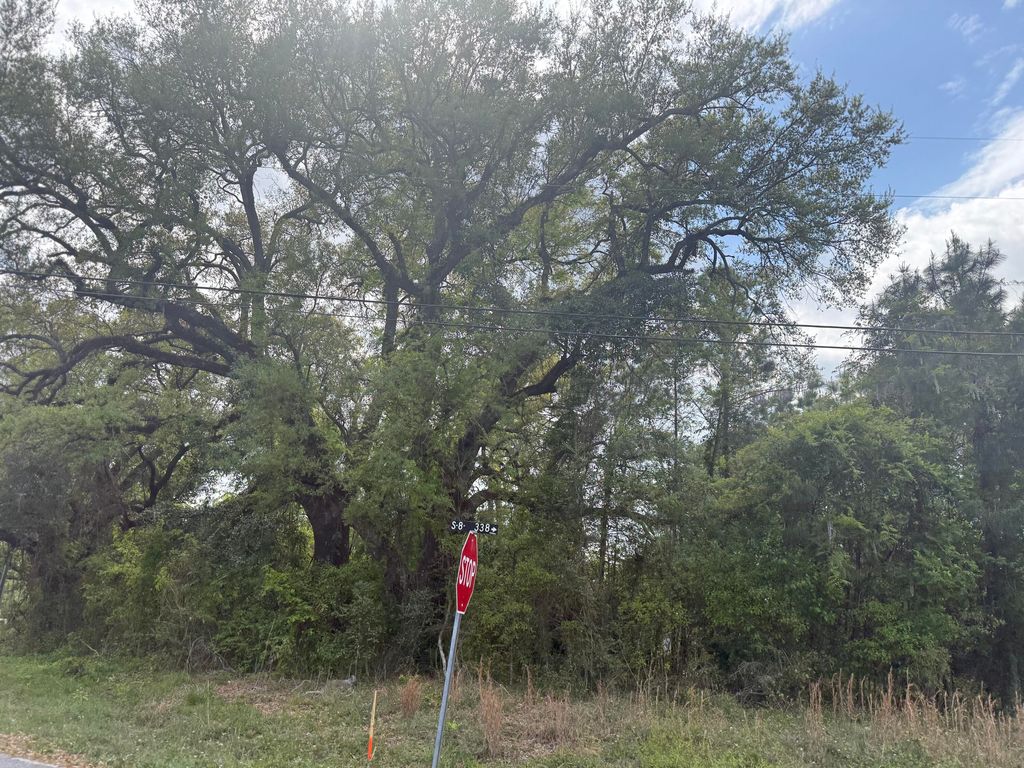 Photo of 0 Old Back River Road Road, Goose Creek, SC 29445 (MLS # 26010888)