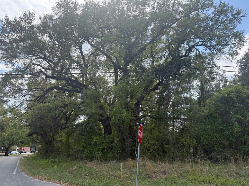 Photo of 0 Old Back River Road Road, Goose Creek, SC 29445 (MLS # 26010888)