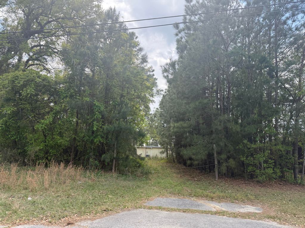 Photo of 0 Old Back River Road Road, Goose Creek, SC 29445 (MLS # 26010888)