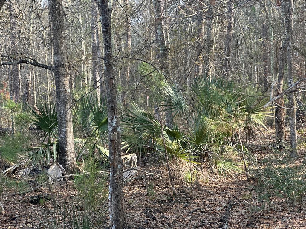 Photo of 0 Cooke Road #Lot 2, Johns Island, SC 29455 (MLS # 26007247)