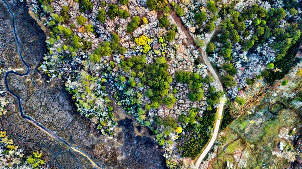 Photo of 0 Cooke Road #Lot 2, Johns Island, SC 29455 (MLS # 26007247)