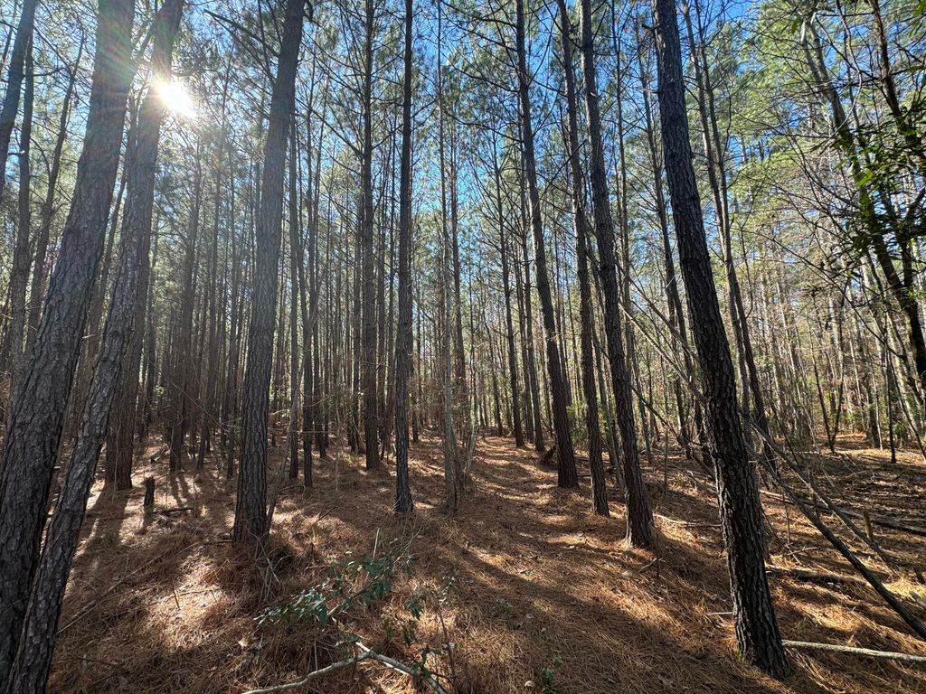 Photo of 0 Countryside Way, Summerville, SC 29483 (MLS # 25025688)
