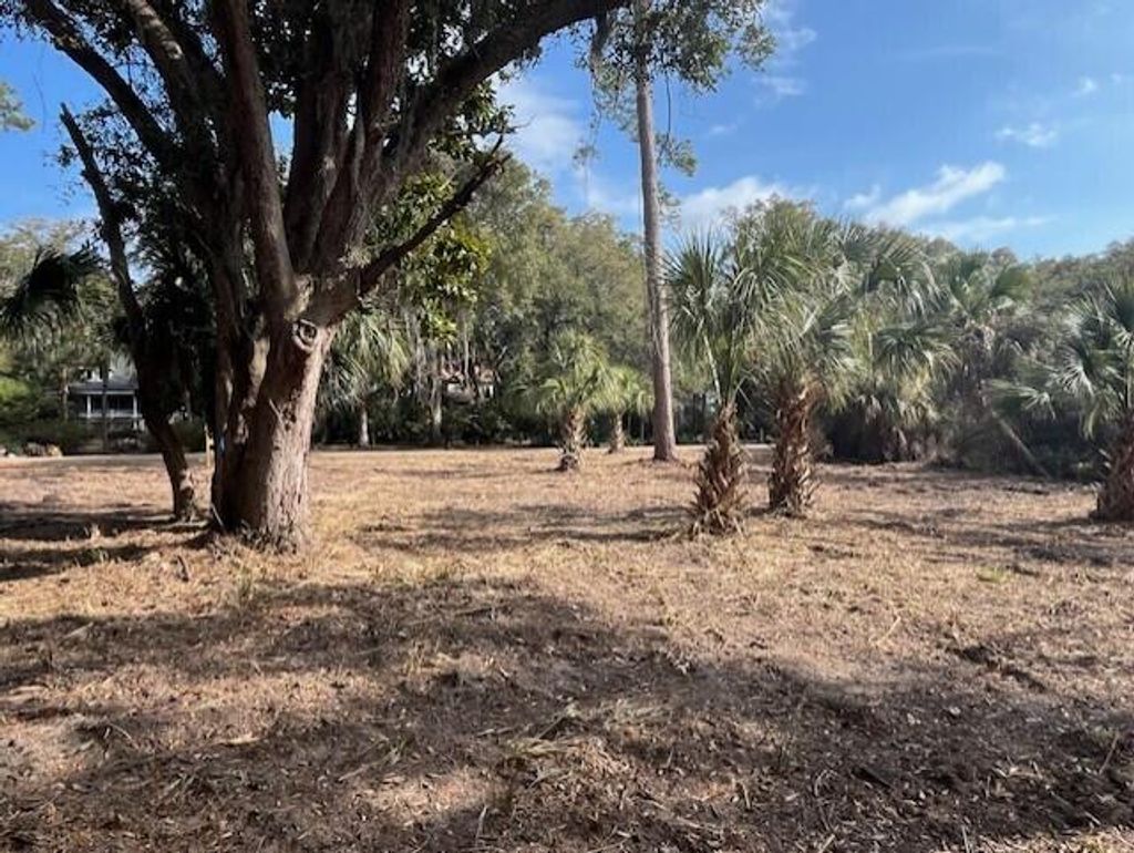 Photo of 8917 Palmetto Road, Edisto Island, SC 29438 (MLS # 25002035)