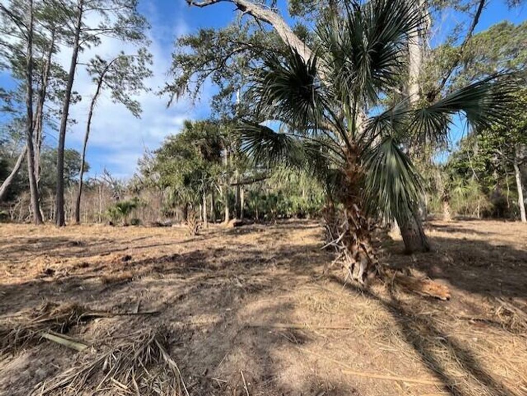 Photo of 8917 Palmetto Road, Edisto Island, SC 29438 (MLS # 25002035)