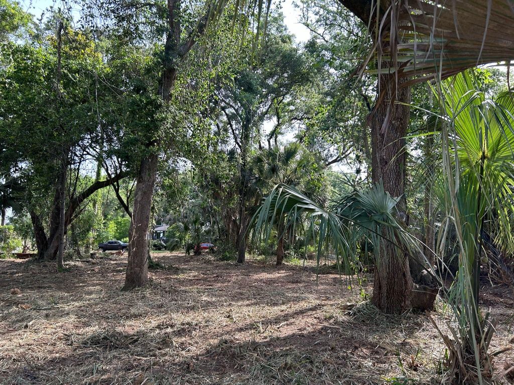 Photo of 8917 Palmetto Road, Edisto Island, SC 29438 (MLS # 25002035)