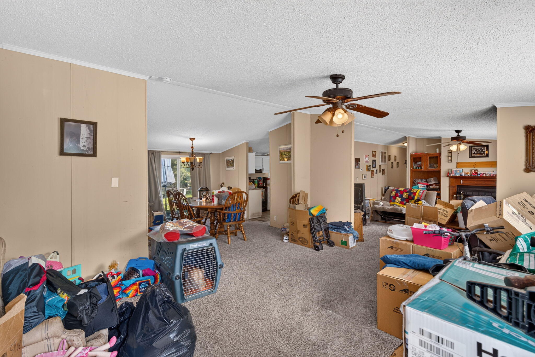 242 Cady Drive