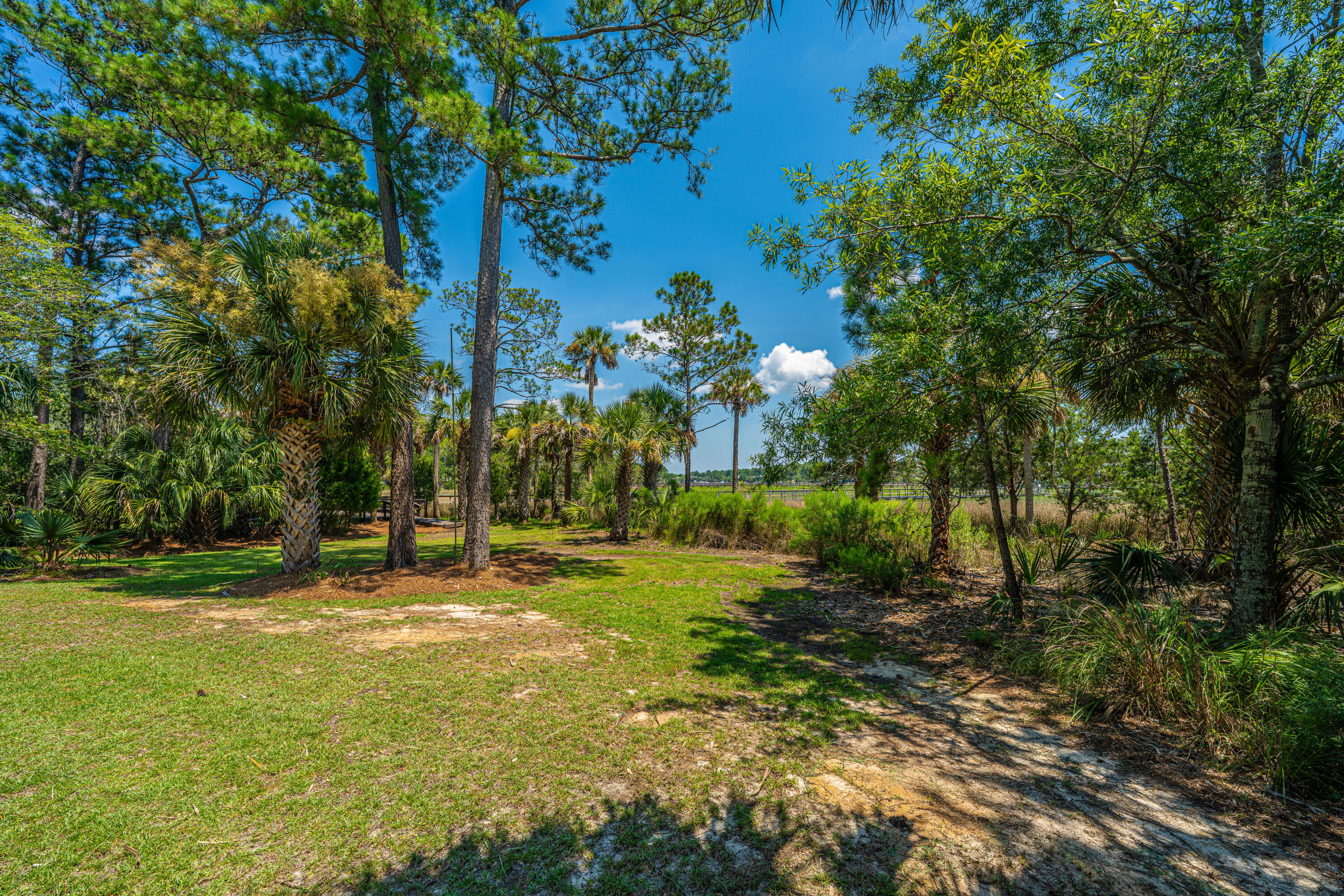 3335 Cottonfield Drive