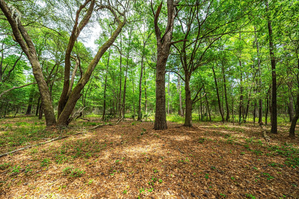 Photo of Lot 4 King Rail Lane, Edisto Island, SC 29438 (MLS # 25013666)
