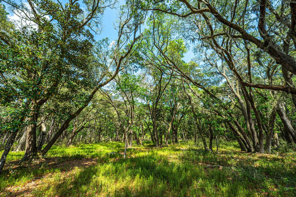 Photo of Lot 4 King Rail Lane, Edisto Island, SC 29438 (MLS # 25013666)