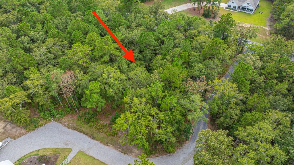 Photo of 964 Awendaw Lakes Boulevard, Awendaw, SC 29429 (MLS # 25028121)