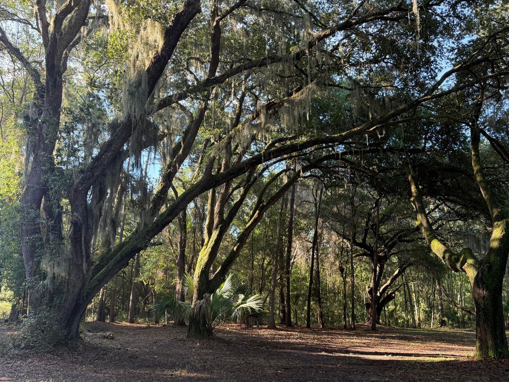 Photo of 7939 Legare Road, Edisto Island, SC 29438 (MLS # 25022785)