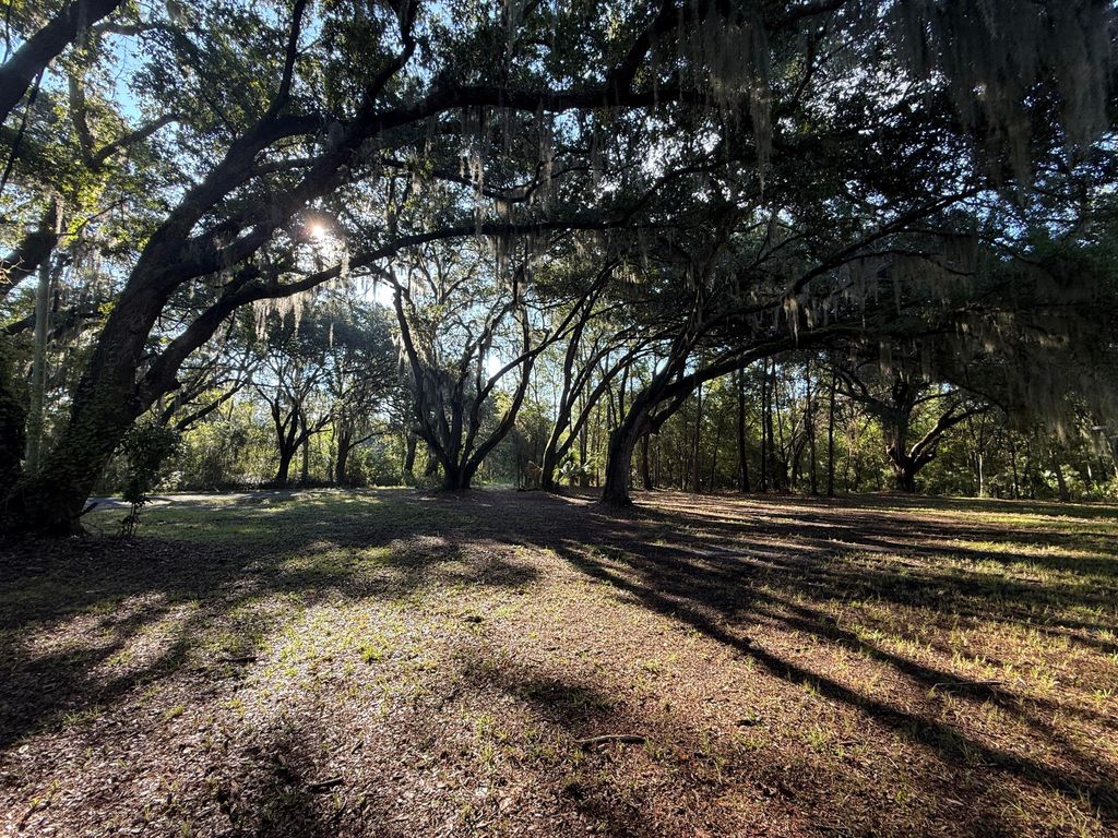 Photo of 7939 Legare Road, Edisto Island, SC 29438 (MLS # 25022785)