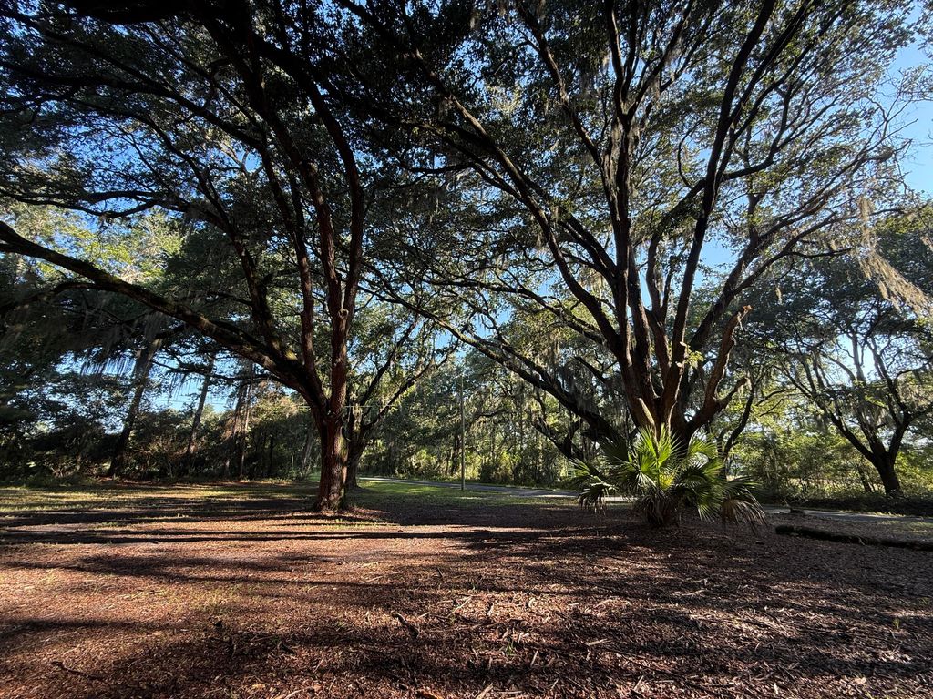 Photo of 7939 Legare Road, Edisto Island, SC 29438 (MLS # 25022785)