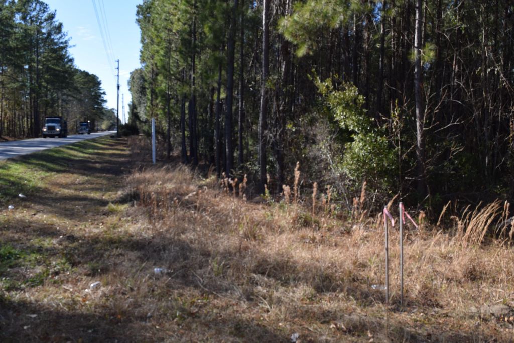 Photo of 0 Black Tom Road, Moncks Corner, SC 29461 (MLS # 25001690)