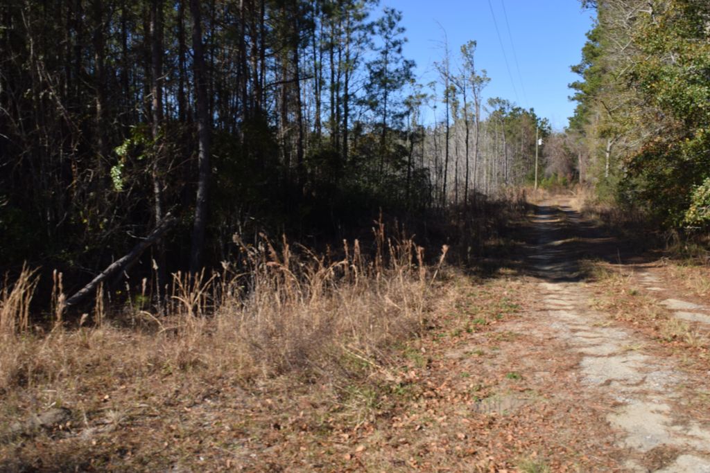 Photo of 0 Black Tom Road, Moncks Corner, SC 29461 (MLS # 25001690)