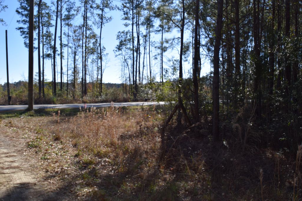 Photo of 0 Black Tom Road, Moncks Corner, SC 29461 (MLS # 25001690)