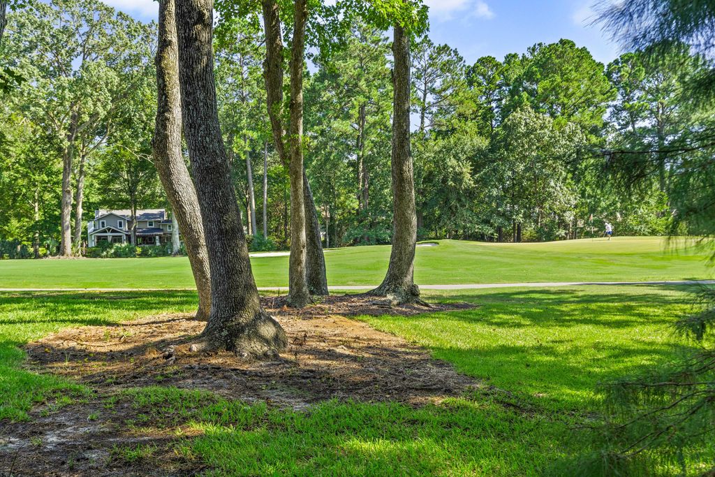 Photo of 1134 Greenview Lane, Mount Pleasant, SC 29464 (MLS # 25022459)