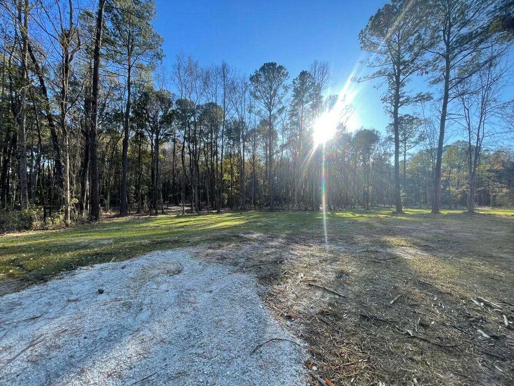 Photo of 113 Generations Lane, Summerville, SC 29486 (MLS # 26006845)