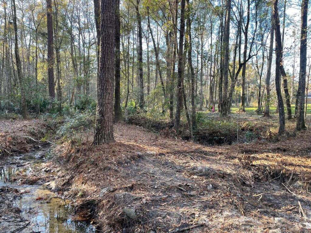 Photo of 113 Generations Lane, Summerville, SC 29486 (MLS # 26006845)