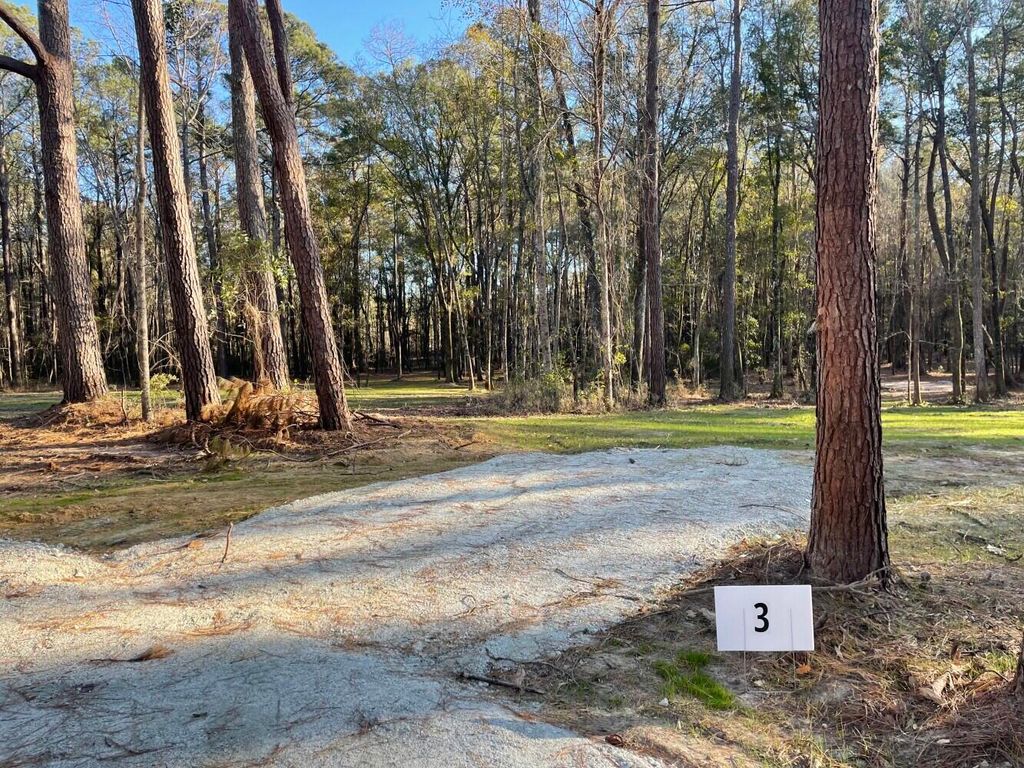 Photo of 113 Generations Lane, Summerville, SC 29486 (MLS # 26006845)