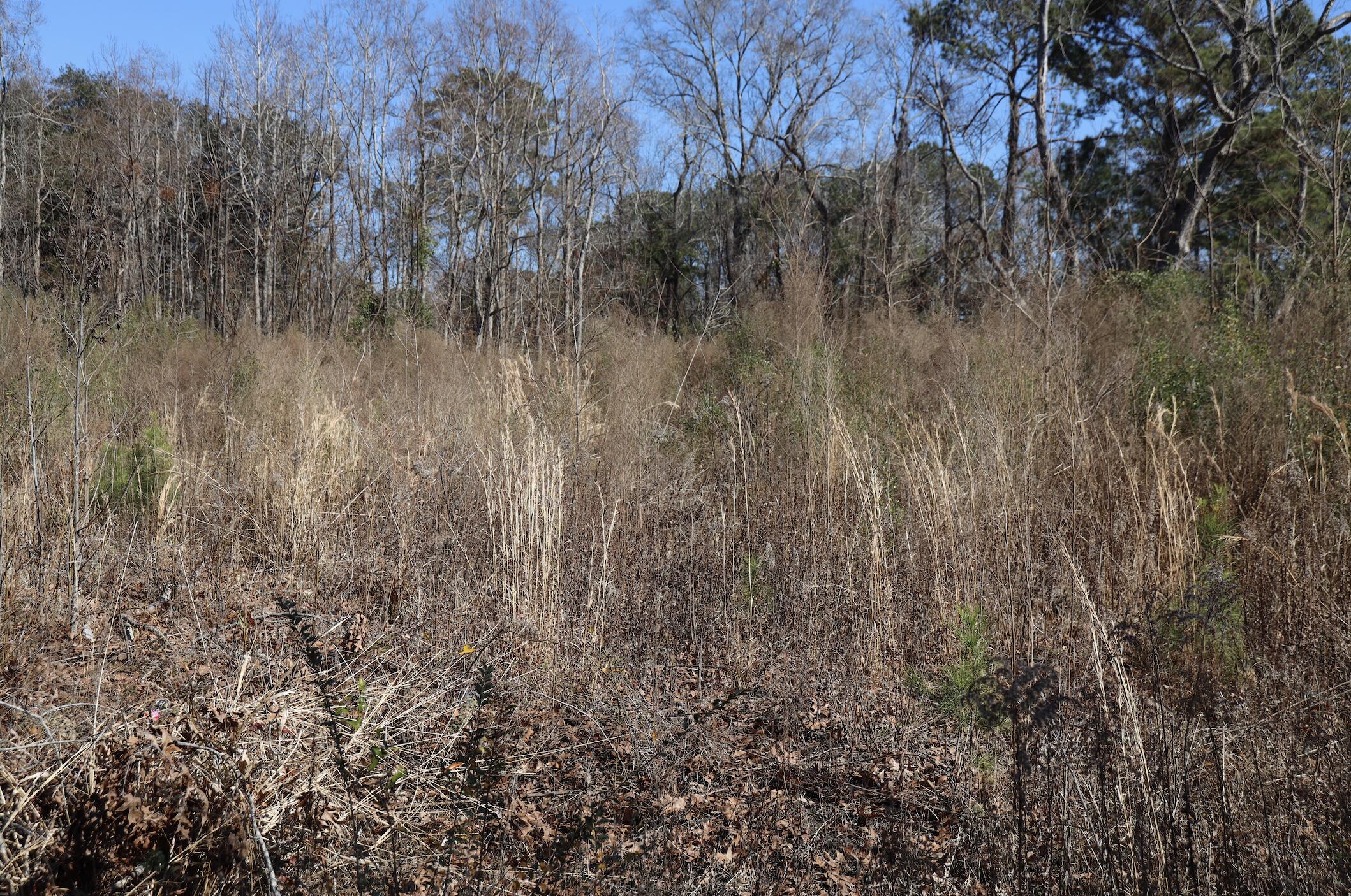 1742 Habersham Road