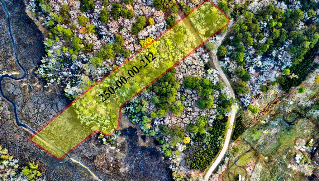 Photo of 0 Cooke Road #Lot 1, Johns Island, SC 29455 (MLS # 26007245)