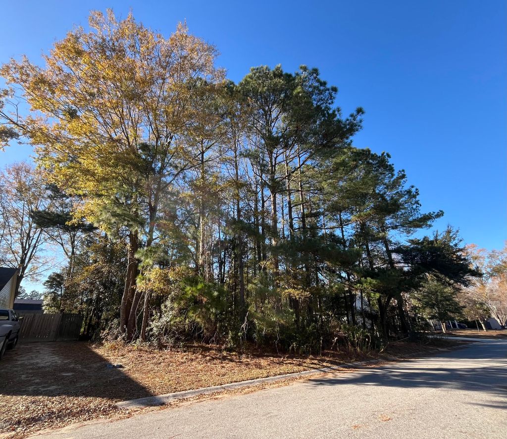 Photo of 222 Jasmine Drive, Summerville, SC 29483 (MLS # 25033011)
