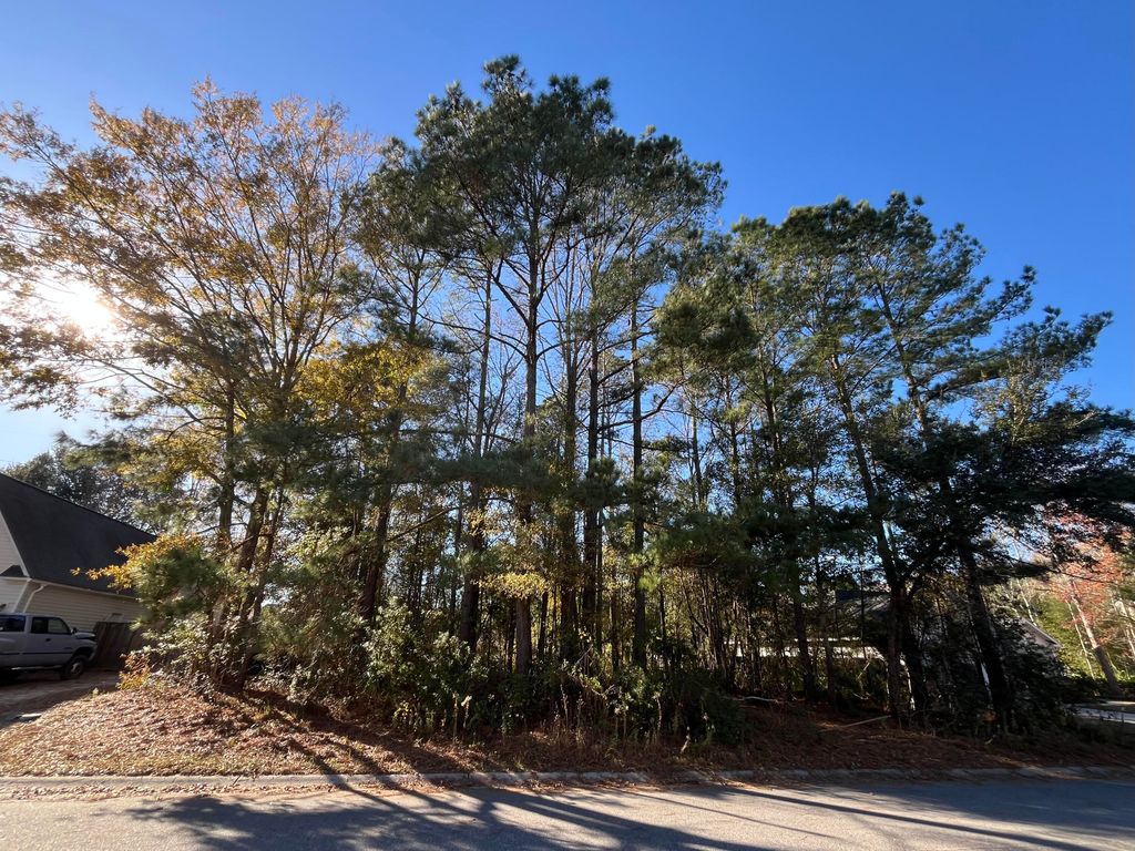 Photo of 222 Jasmine Drive, Summerville, SC 29483 (MLS # 25033011)