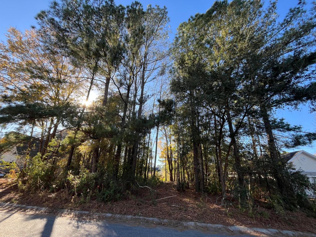 Photo of 222 Jasmine Drive, Summerville, SC 29483 (MLS # 25033011)