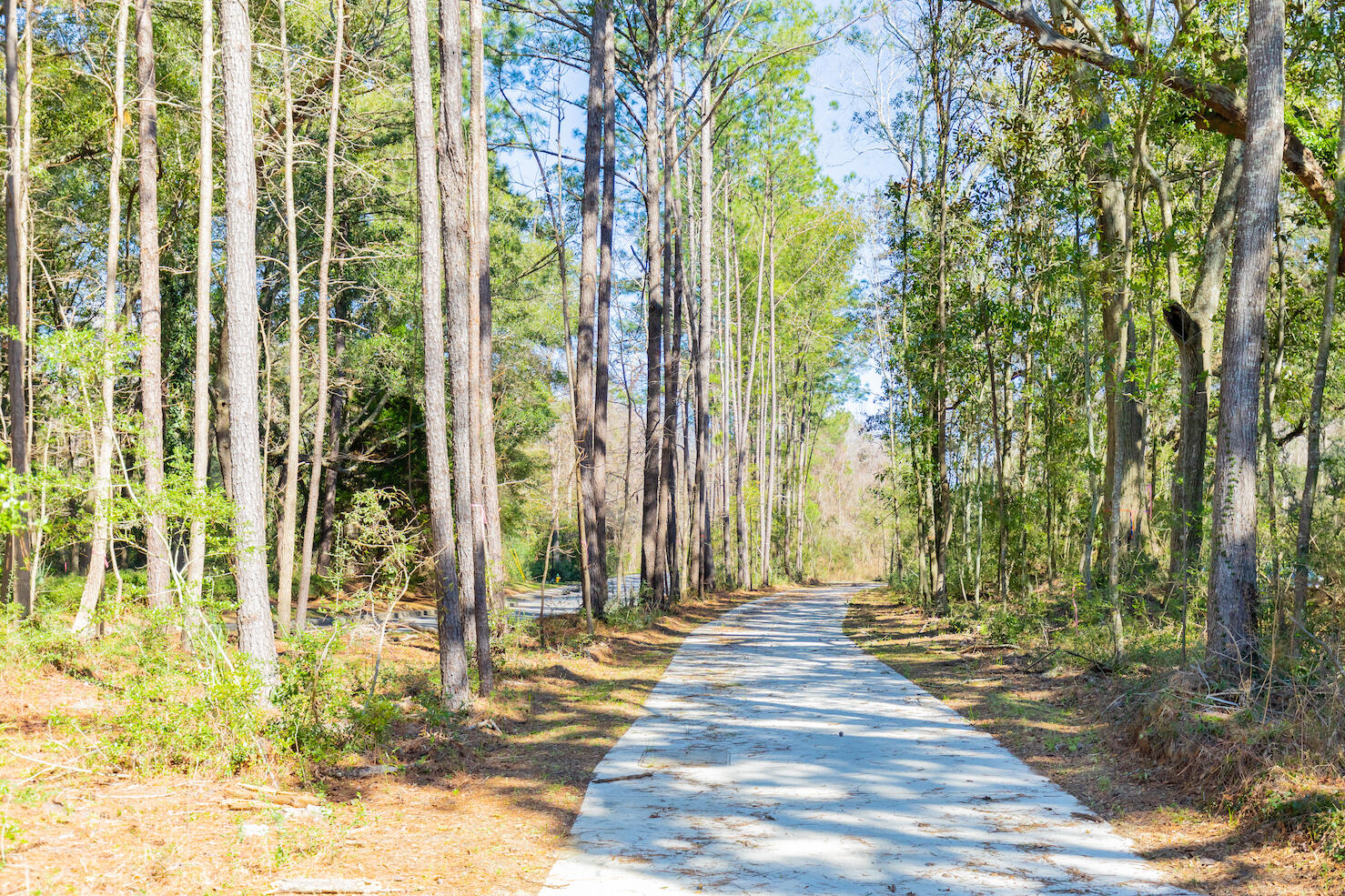 1515 John Fenwick Lane