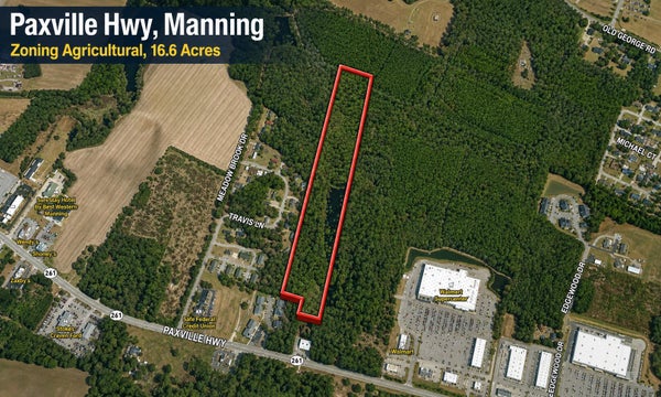 PAXVILLE HWY, MANNING, SC 29102 - Image 53babe2ca42c6a0d2536ba2d4a8bc2c6/2567458858