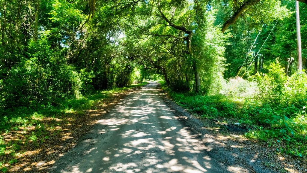 Photo of 0000 Arsburn Road, James Island, SC 29412 (MLS # 25018914)