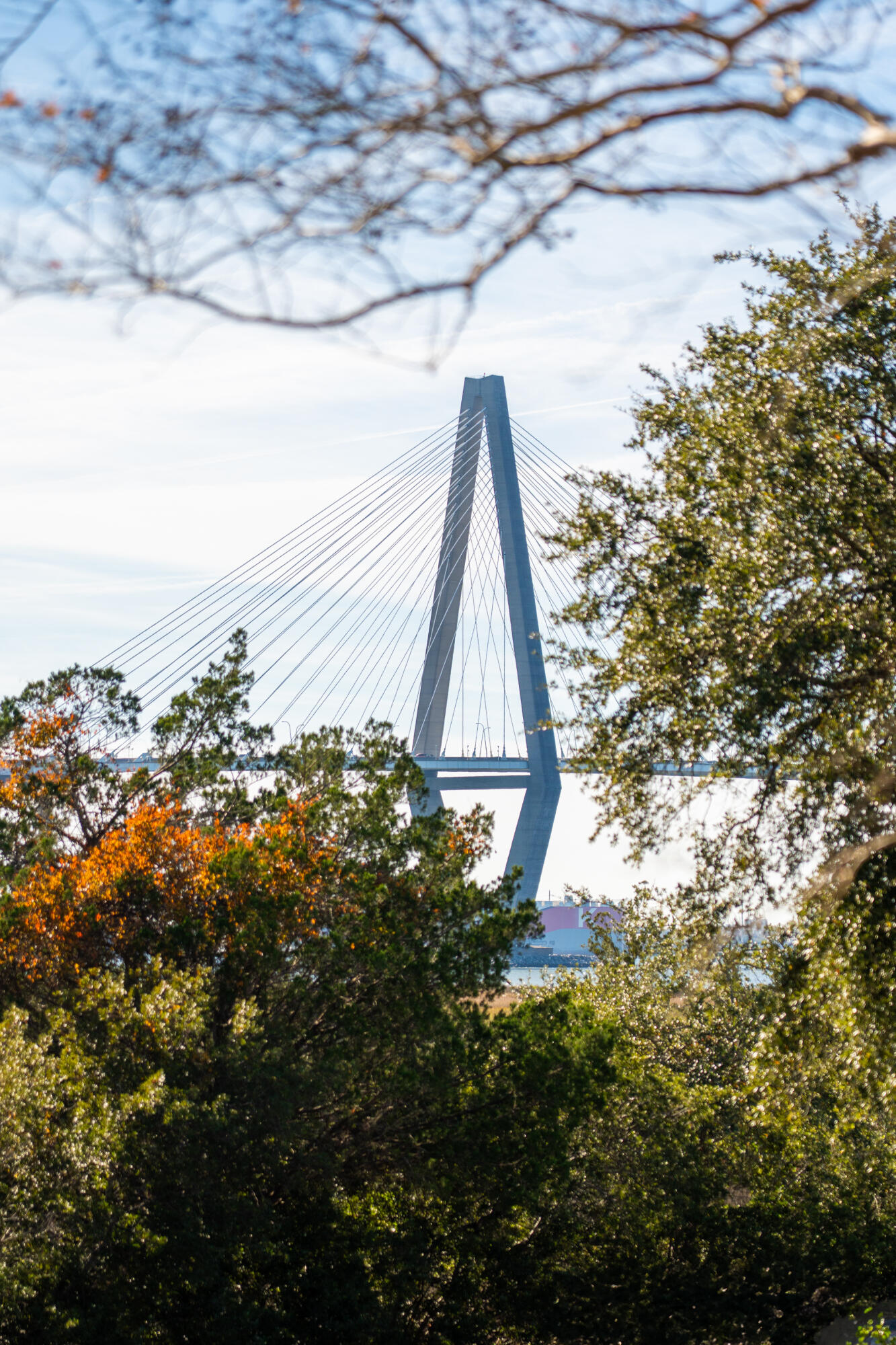 832 Fiddlers Point Lane