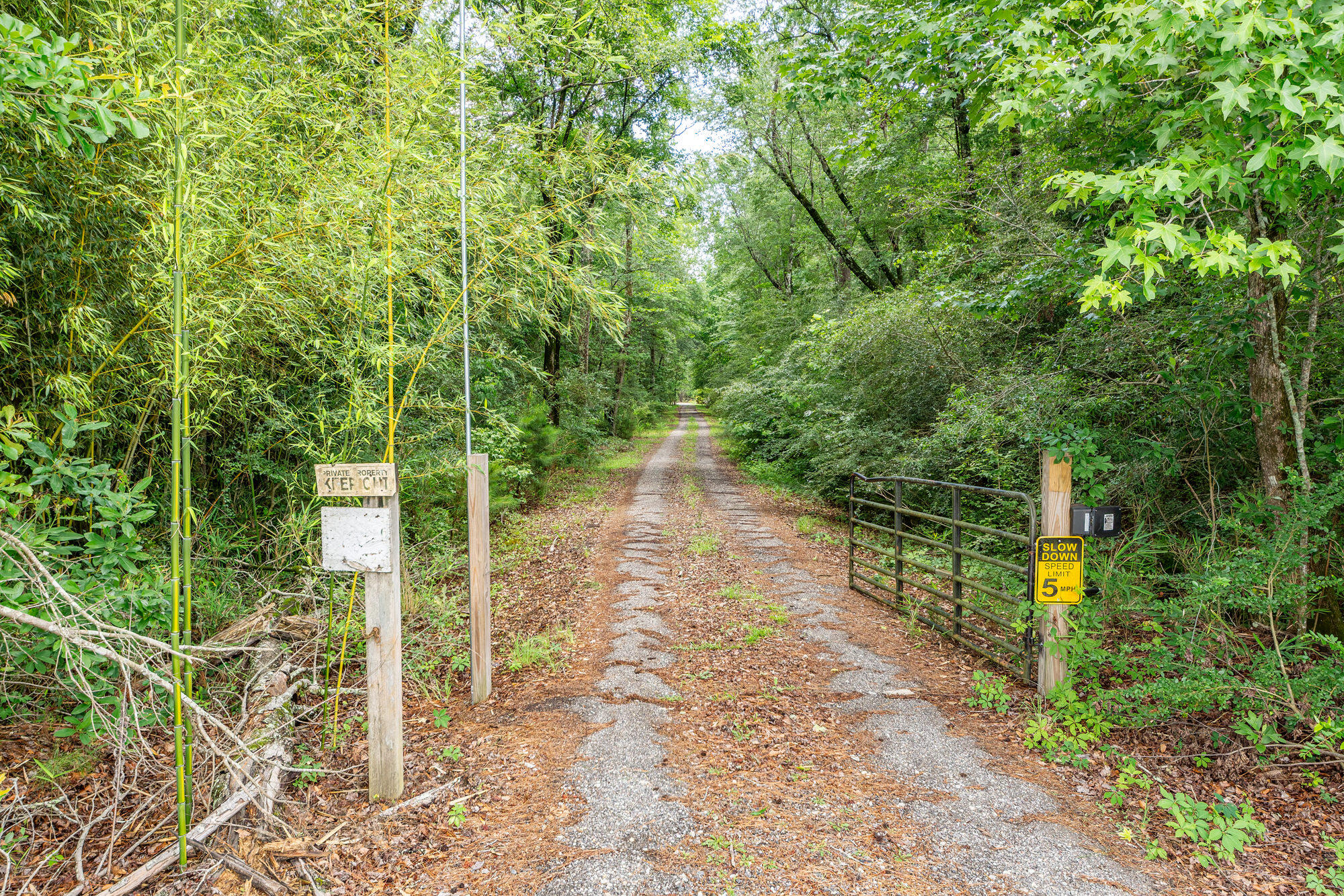 229 Bay Blossom Lane