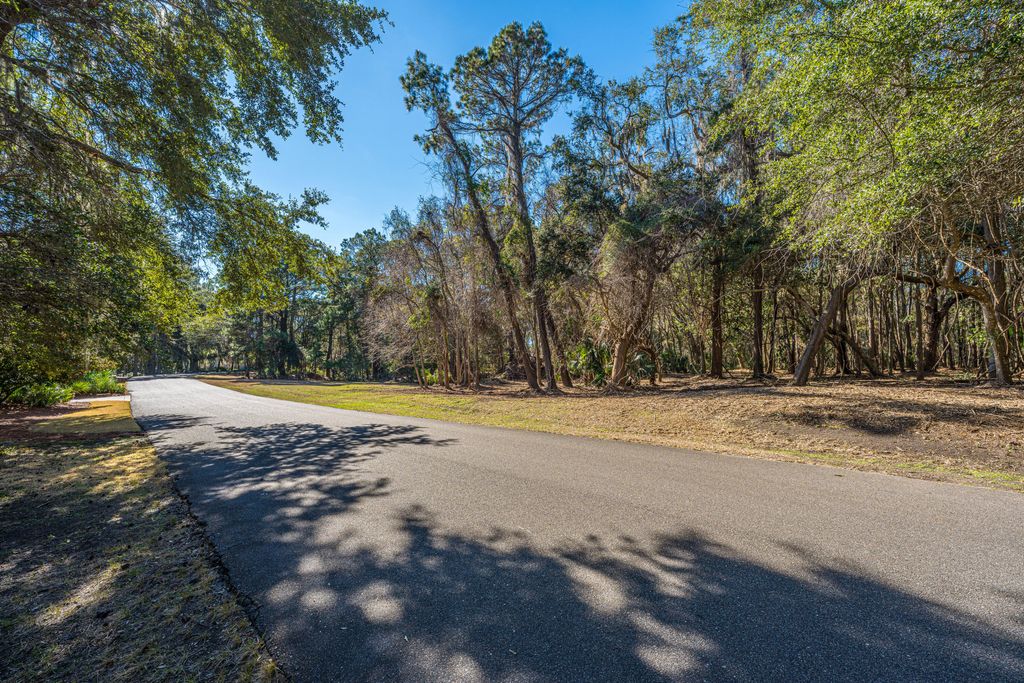 Photo of 4066 Gnarled Oaks Lane, Johns Island, SC 29455 (MLS # 26006792)