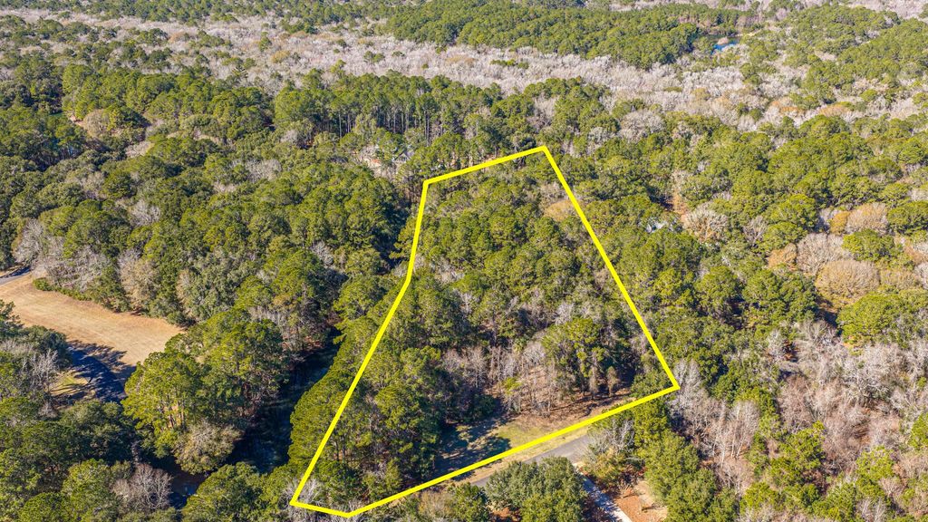 Photo of 4066 Gnarled Oaks Lane, Johns Island, SC 29455 (MLS # 26006792)