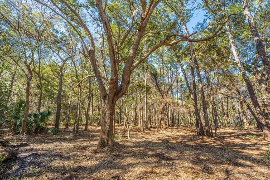 Photo of 4066 Gnarled Oaks Lane, Johns Island, SC 29455 (MLS # 26006792)