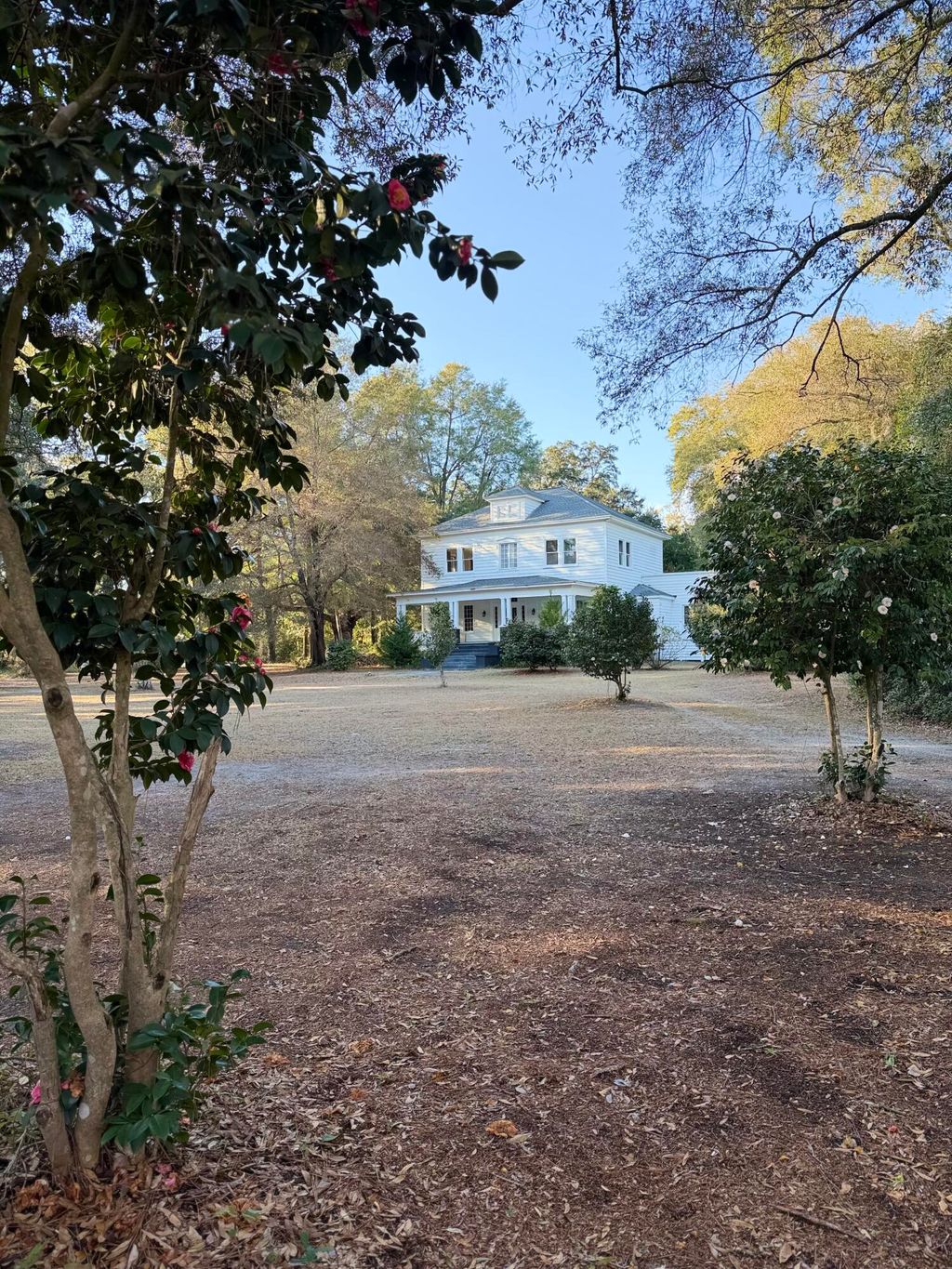 Photo of 1217 Wichman Street, Walterboro, SC 29488 (MLS # 26012751)