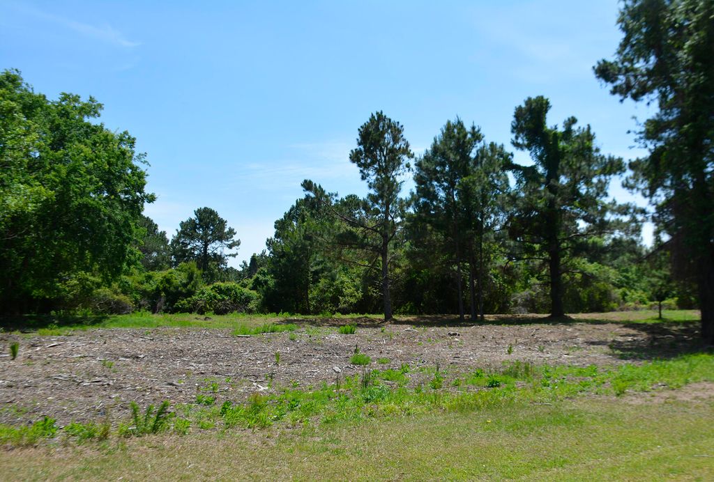 Photo of 61 Osprey Road, Edisto Island, SC 29438 (MLS # 25020808)