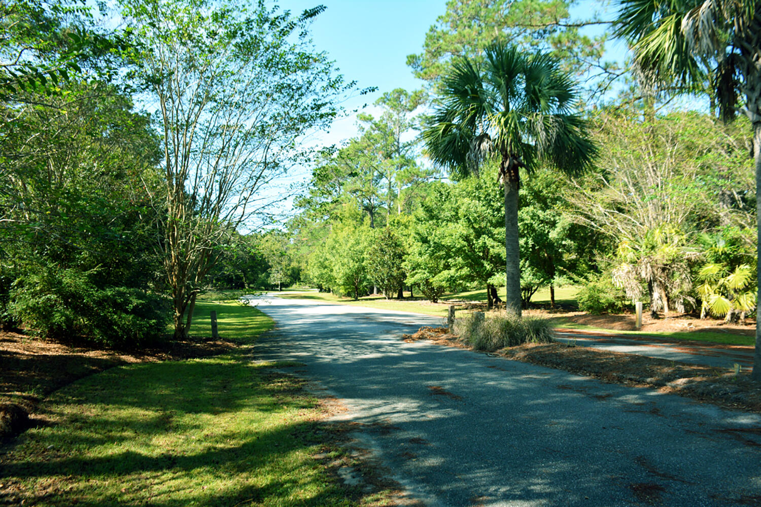 61 Osprey Road